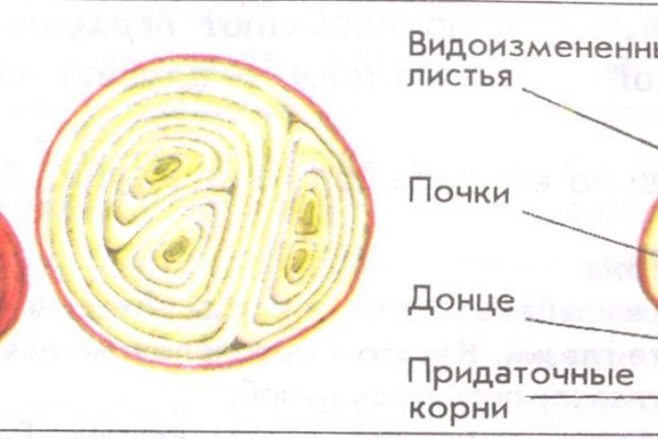 Как восстановить кракен