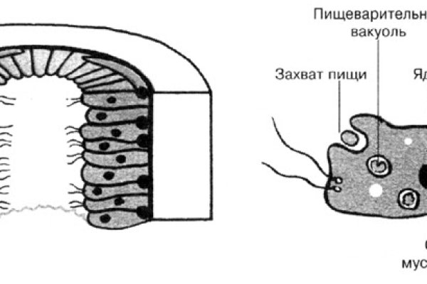 Кракен как попасть