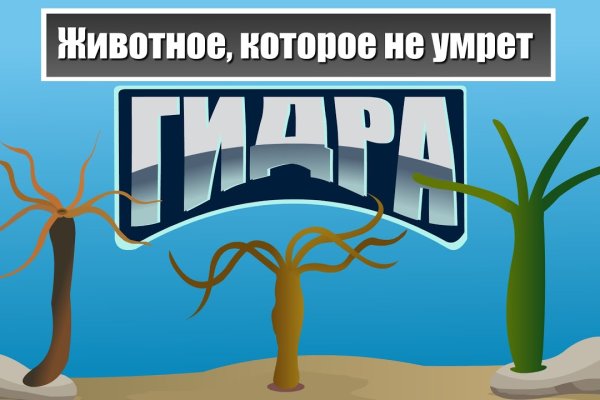 Как зайти на маркетплейс кракен